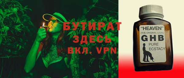 индика Алексин
