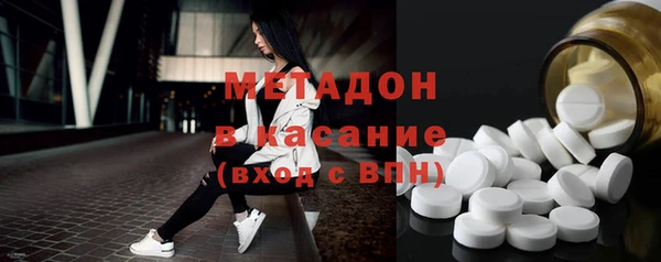 индика Алексин