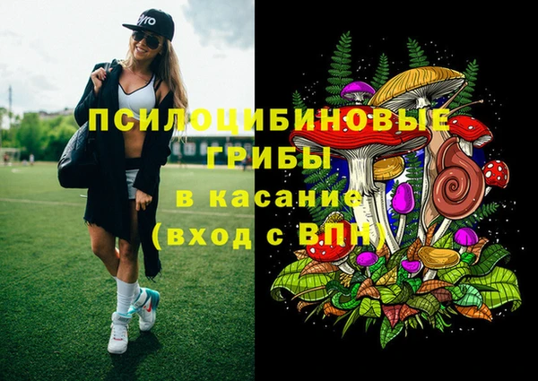 индика Алексин