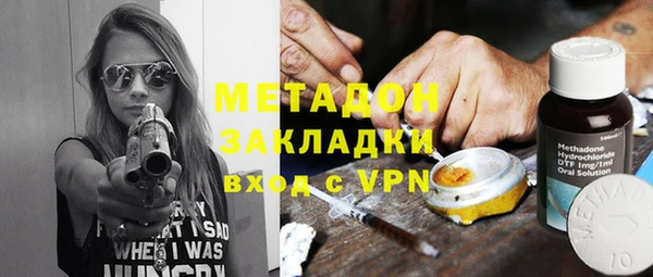 индика Алексин