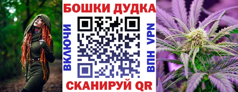 цены наркотик  Злынка  Канабис сатива 